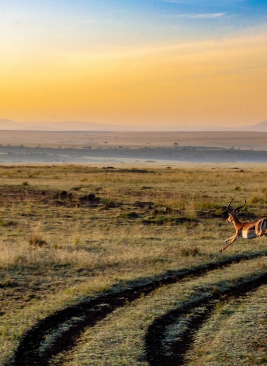 Kenya