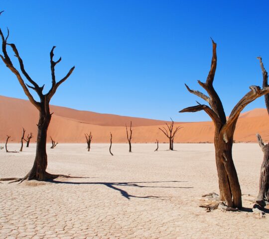 Namibie