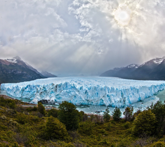 Argentine