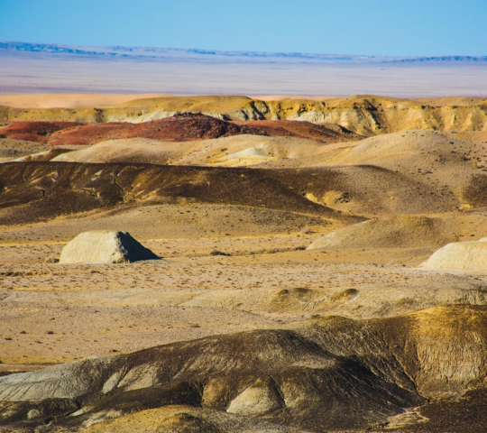 Mongolie