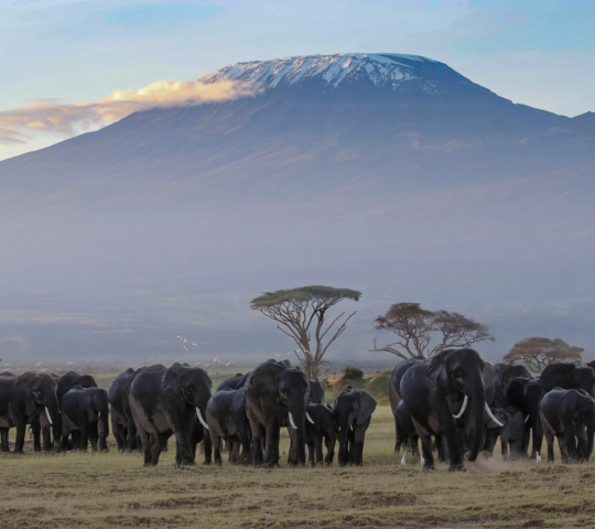 Kenya