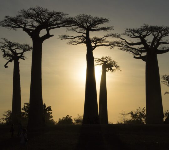 Madagascar