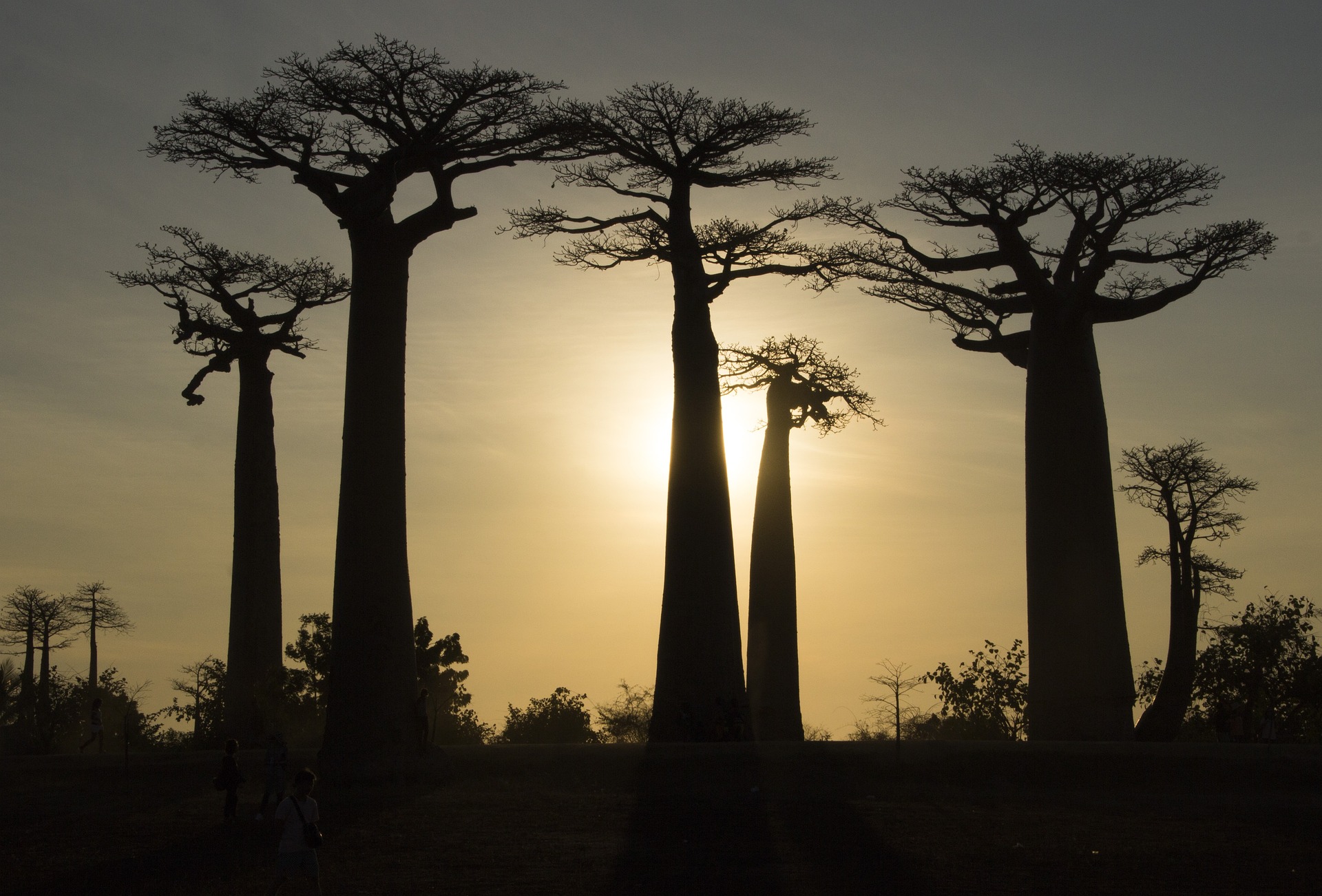 Madagascar Madagascar