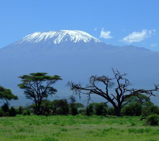 Tanzanie