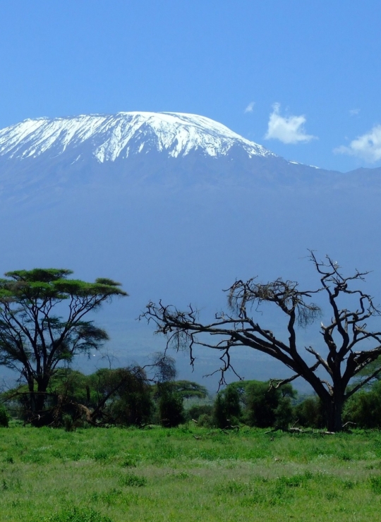 Tanzanie