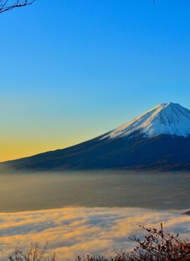 Japon