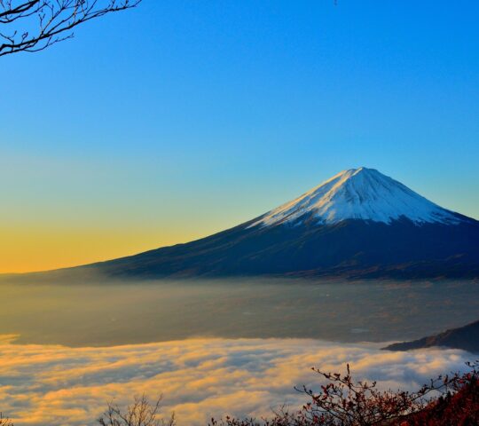 Japon