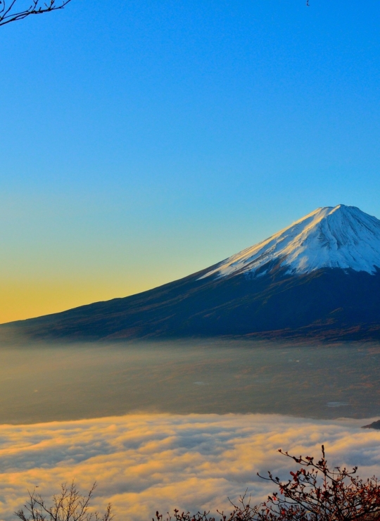 Japon