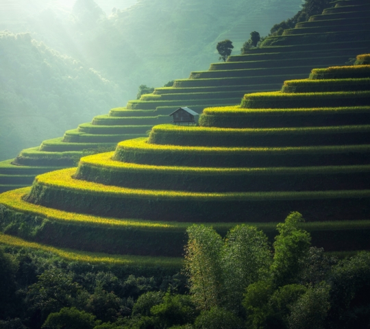 Bali